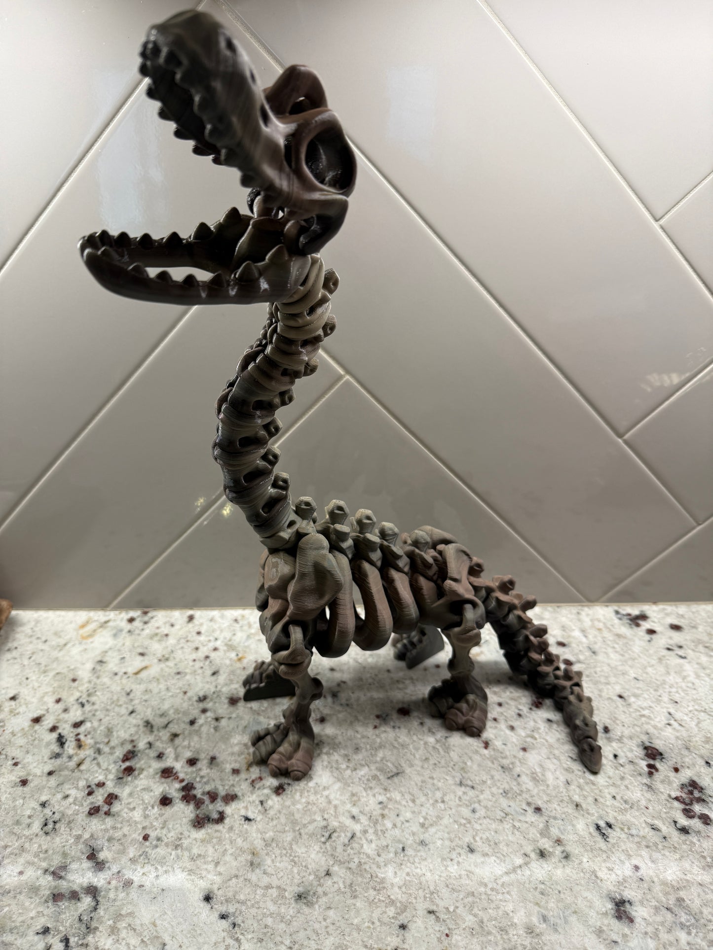 Articulated Brachiosaurus Skeleton
